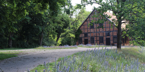 Alte Hütte im Museumsdorf Baruther Glashütte | Foto: Museumsdorf Baruther Glashütte