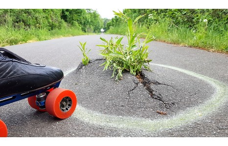 Foto: Rollschuh an einem Wurzelaufbruch