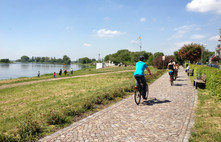 Elbe cycle path | Foto: Pressestelle TF