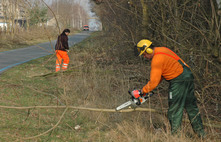 Frühjahrsputz | Foto: Pressestelle TF