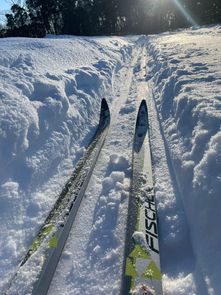 Auf den Spuren der Einheimischen. | Foto: SV Flaeming-Skate e.V.